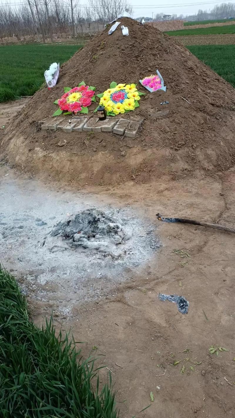 女人梦见路过一片坟地代表什么意思