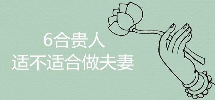 6合贵人适不适合做夫妇