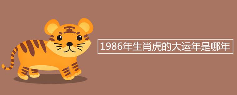 属虎的三年大运是指哪三年,属虎人发财的年份
