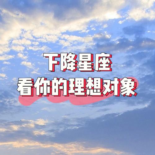 十二星座的理想对象