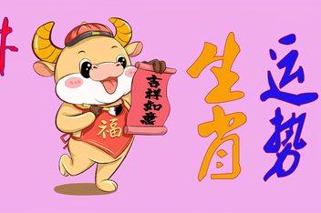 生肖运势2013年：牛