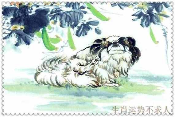 94年属狗男命2023年恋爱桃花
