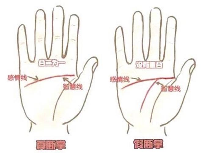 男性双手断掌纹的全面解析