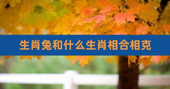 属兔的女人和什么属相最配,属兔的和什么属相最配和相克?
