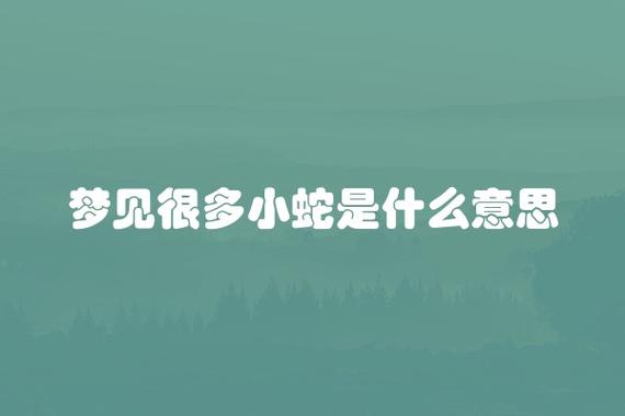老人梦见小蛇进身体,暗示什么?