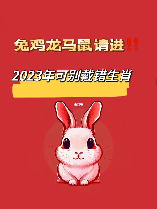 同病相怜是什么生肖,2023年明年是什么生肖年