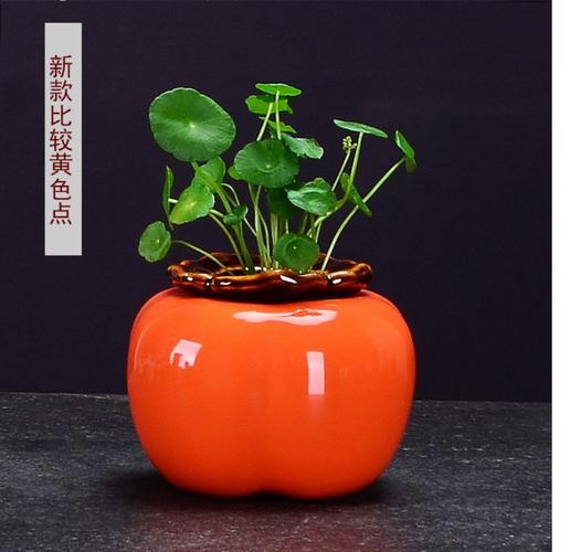 办公桌摆设花瓶的风水讲究