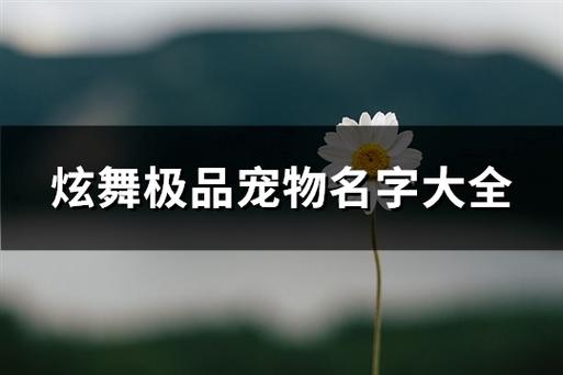 炫舞宠物名字神最新的