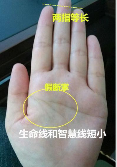 智慧线杂乱代表着什么样的事业运和智力