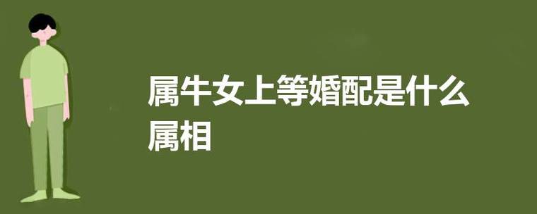 牛的上等婚姻 属牛上等婚姻