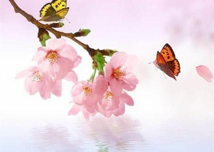 风水怎样招桃花