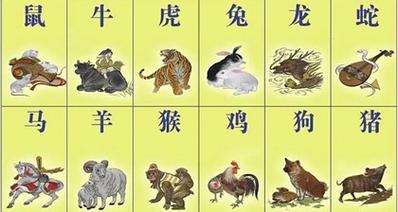 生来就财运好的生肖是哪几个