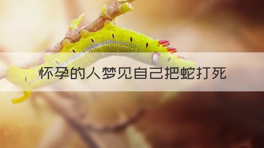 孕妇梦见别人把蛇打死
