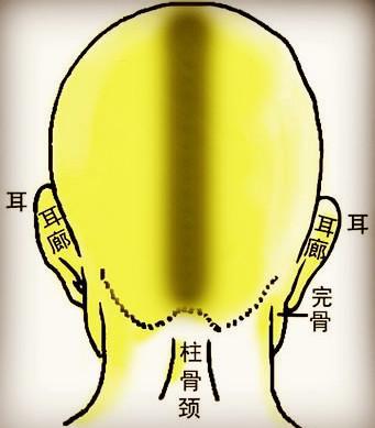骨相大全——炁悬针骨
