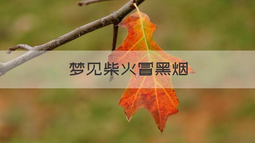 梦见一股黑烟