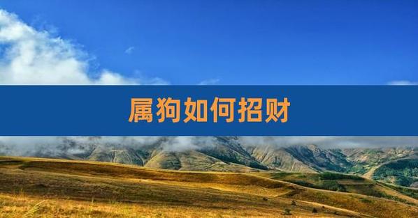 属狗人如何改变财运,生肖狗怎么做能招财