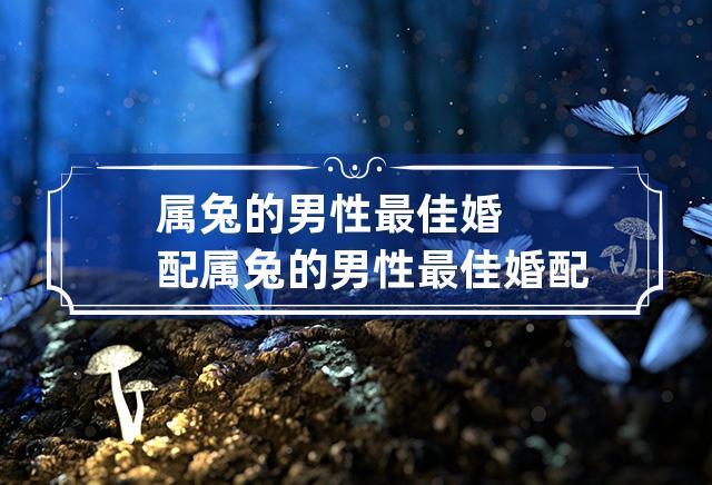 属兔为什么要谈恋爱