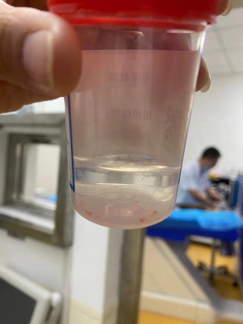生肖狗工作中要注意提防谁