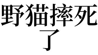 梦见野猫摔死了