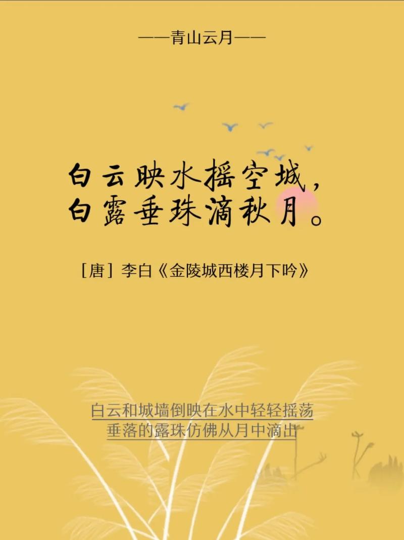白露取什么名字好