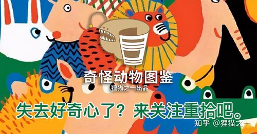 天降不明物体预示着什么