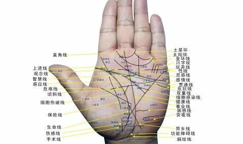 手纹算命主要看什么
