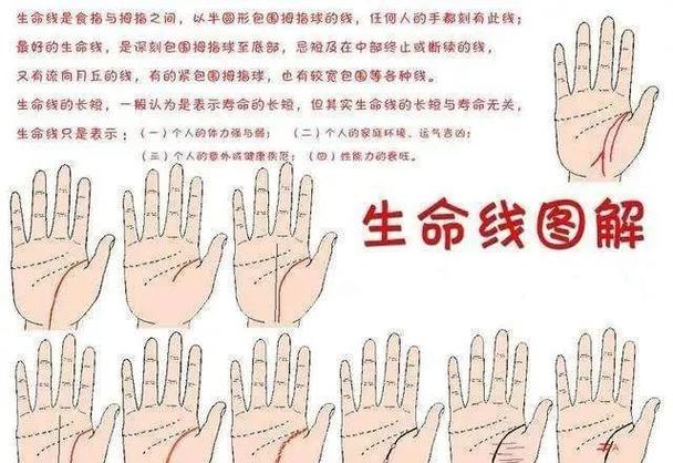 生命线有分叉代表什么