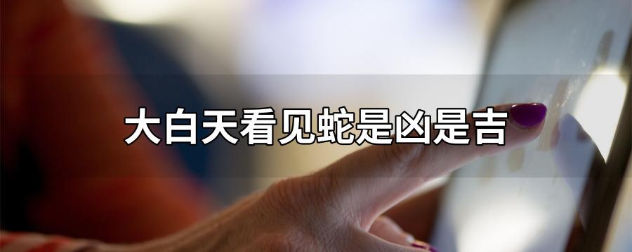 白天看见蛇是什么兆头