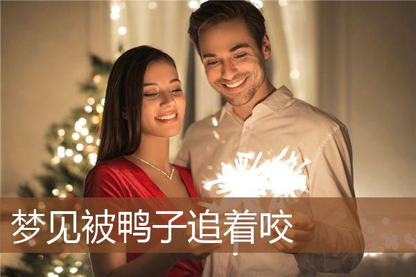 梦到鸭子追着咬我何意