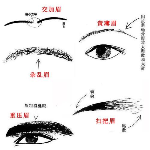 相术学告诉你六害之眉的不好