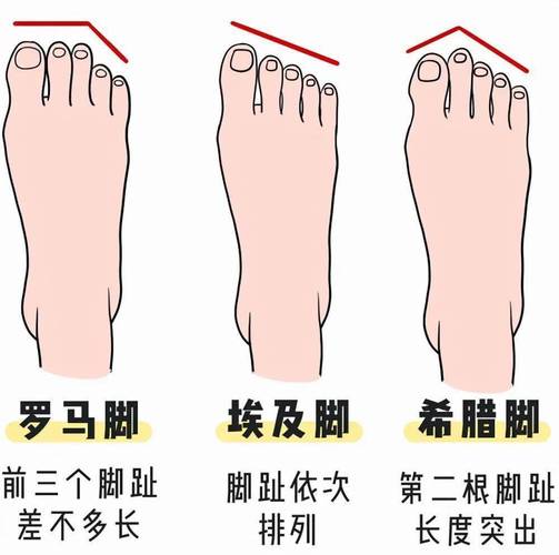 男人希腊脚性格怎么样