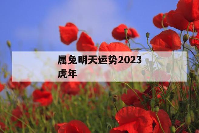 属兔虎年运势2022运势详解