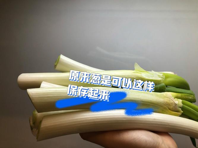 结婚洗葱有什么寓意