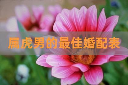 两个属虎的人结婚会咋样