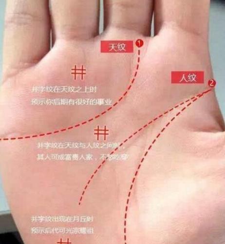 能预感到未来发生的手相