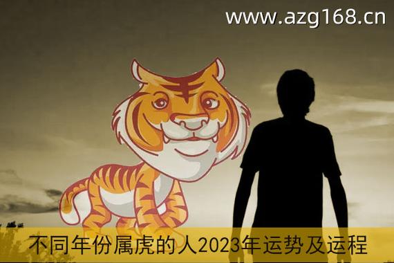 2023年谁是属虎人的最佳合作伙伴