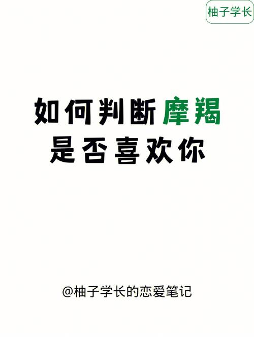 摩羯座喜欢你的小细节,甘愿为你改变