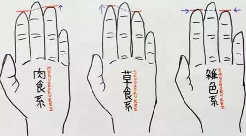 男人的无名指长度竟隐藏这么多秘密
