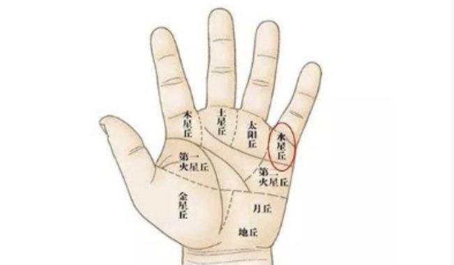 手相:缺乏生活情趣的男人手相