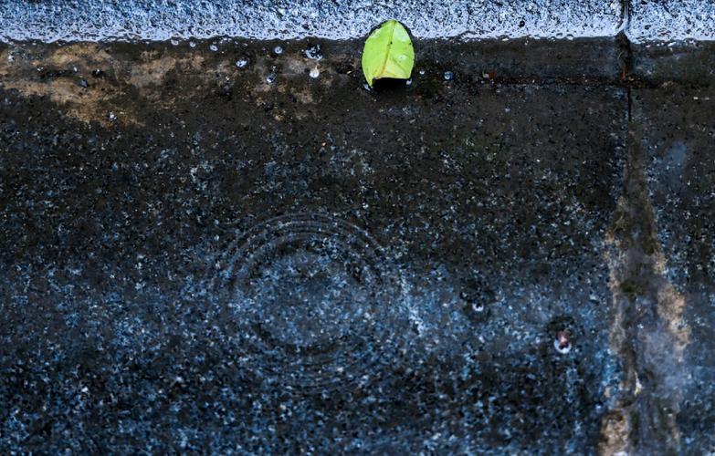 喜欢下雨天的人天蝎座