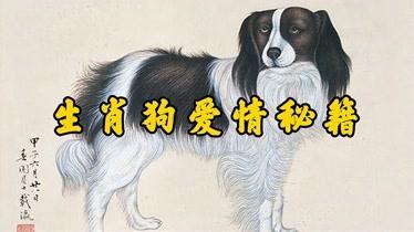 怎么追求生肖狗的女人