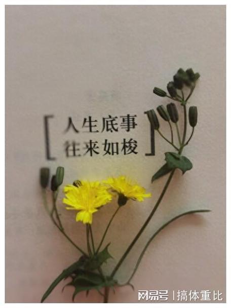 自制力最强的星座男,哪怕诱惑在前,也能心如止水,值得托付