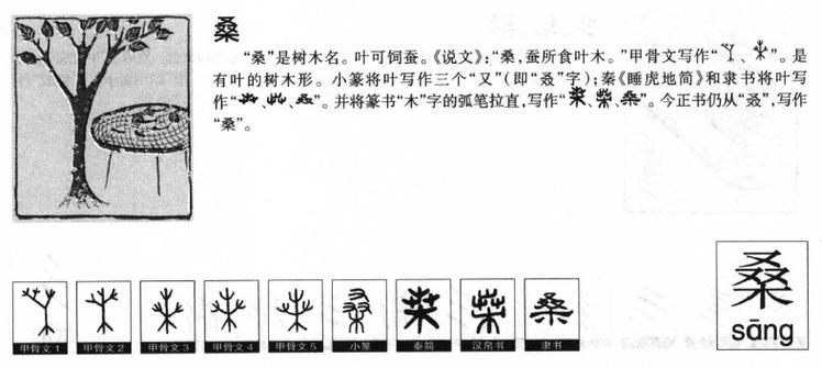 桑名字的含义 桑字五行属什么