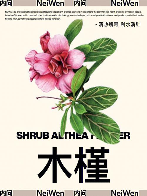 汪姓后字辈取名宝典里让人觉得惊艳的名字有哪些