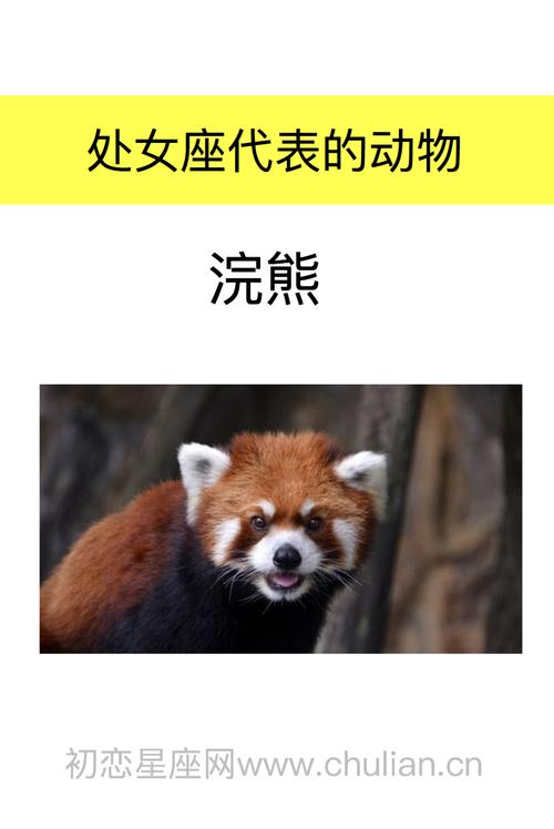 处女座是什么动物?