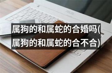 男属狗女属蛇婚姻状况