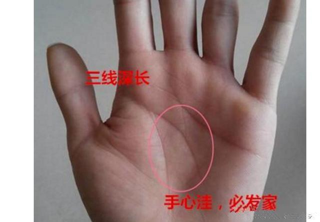 男有掌权掌财,女亦有旺夫旺子