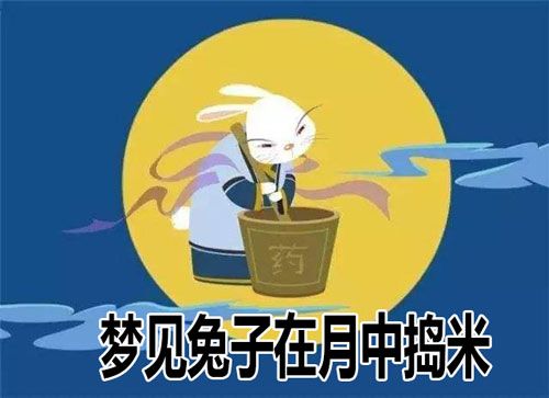 梦见兔子在月中捣米