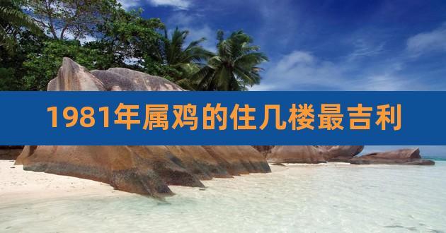 属鸡人的买房忌讳