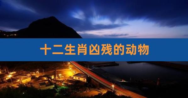 十二生肖最悲惨的动物,晚年孤苦无依